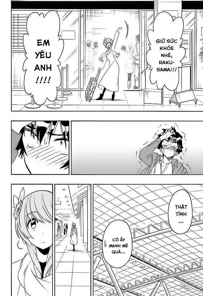 nisekoi - tình yêu giả tạo chapter 195 15
