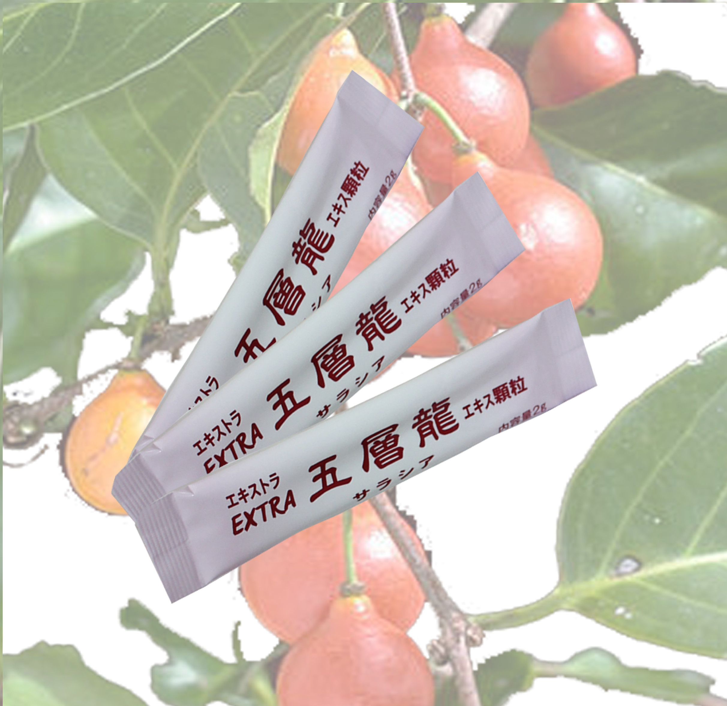 Thực phẩm bảo vệ sức khỏe: Salacia ET Extract Granule