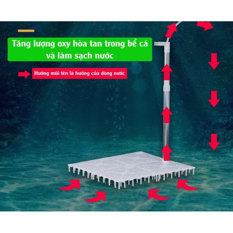 Bộ Sủi Lọc Đáy TAIWAN | Vỉ Lọc Đáy + Hút Mỏ Vịt | Phụ kiện thuỷ sinh Nấm Aquatools