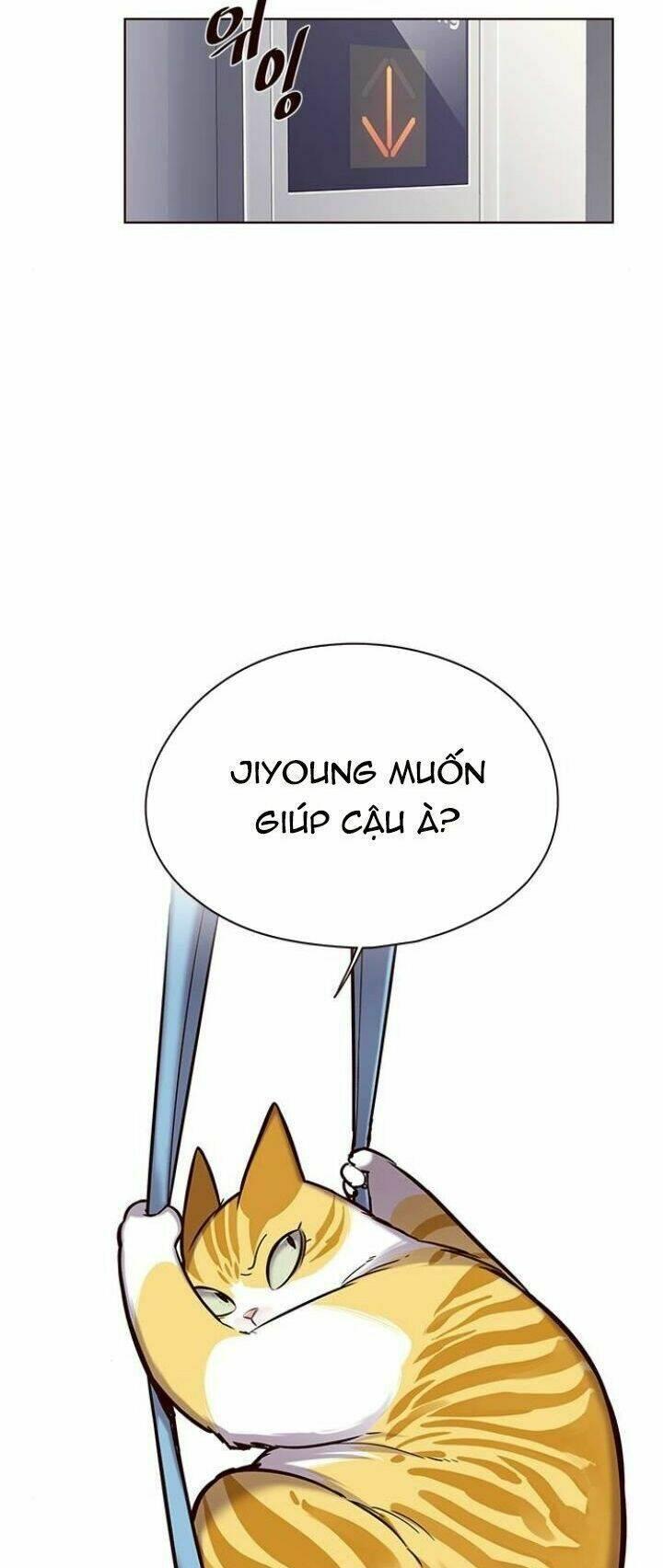 biến thân thành mèo chapter 118 5