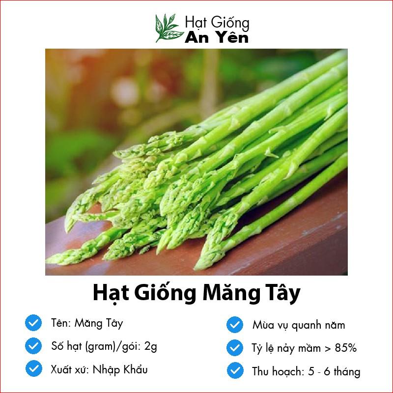 Hạt giống Măng Tây Tím, thu hoạch sớm, dễ trồng, nảy mầm cao, sinh trưởng khoẻ