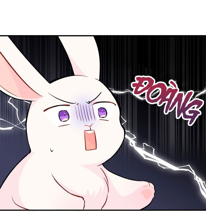 mối liên kết giữa báo đen và bé thỏ chapter 2 28