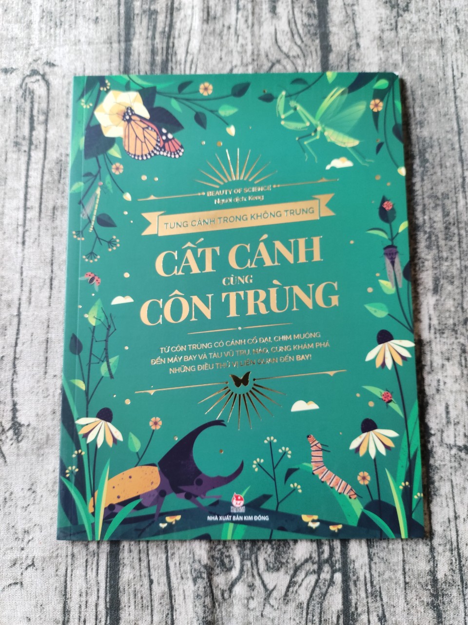 Tung Cánh Trong Không Trung - Cất Cánh Cùng Côn Trùng