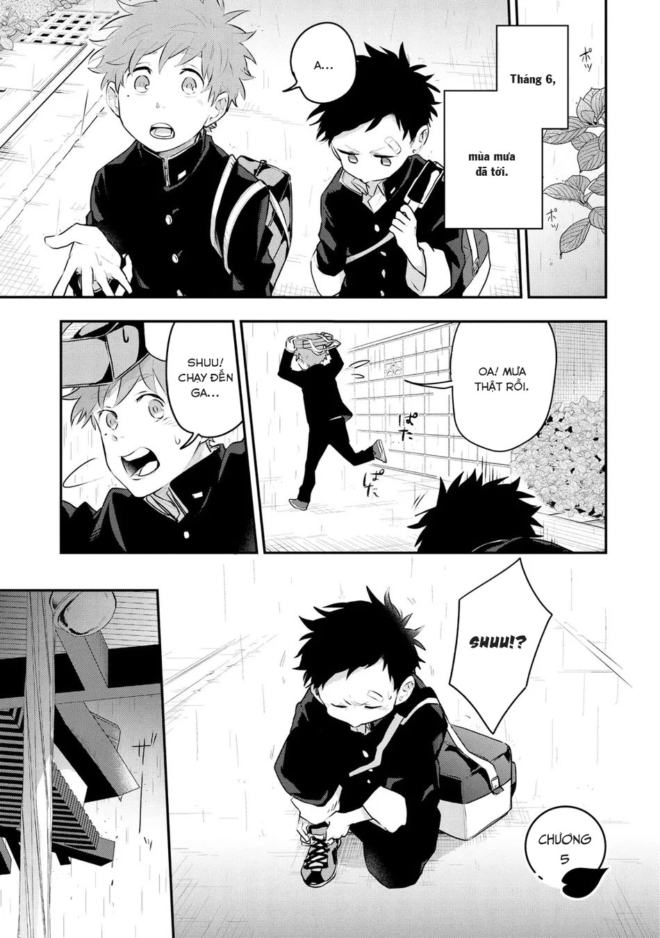 quan sát đầu xuân chapter 5 1