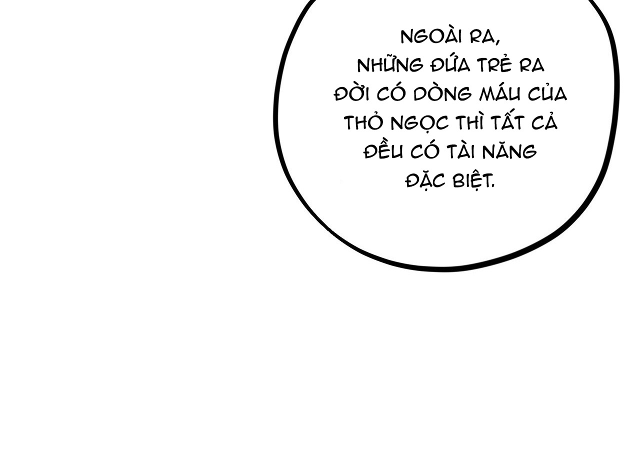 đàn thỏ của habibi chapter 21 97