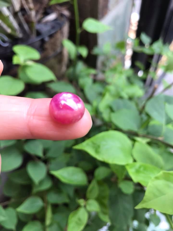 VIÊN ĐÁ RUBBY HỒNG TRÒN ĐẸP NHƯ BÔNG HOA PHÍA TRÊN VIÊN ĐÁ TRÒN DẦY ĐẸP LẮM LUÔN LÀM MẶT NHẪN DÂY CHUYỀN Size DÀI 12mm X NGANG 11mm x DẦY 7mm