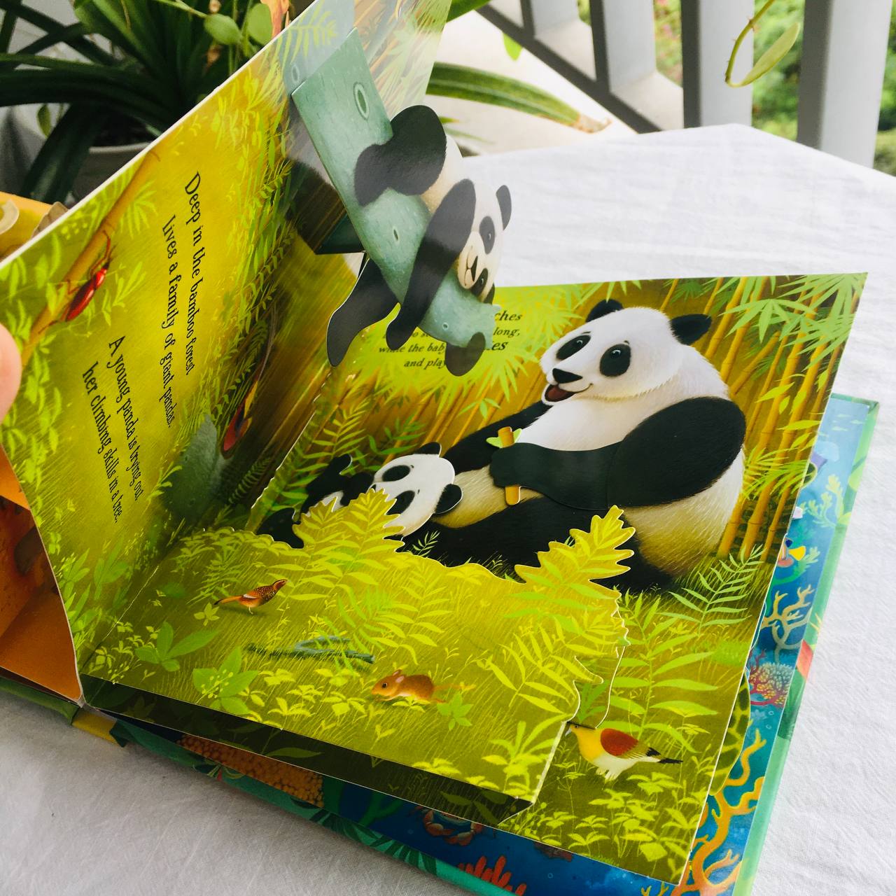 Tuyển tập sách tương tác tiếng Anh Usborne Pop-up books | sách dựng hình 3D