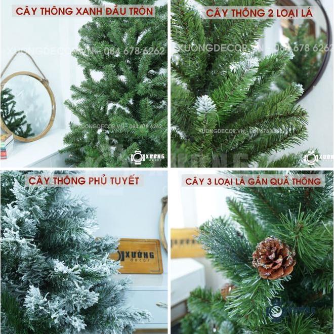 Cây Thông Noel Tán Dày Cao 2m1/1m8/1m5, 2 Loại Lá, Xanh Đầu Tròn, Hàng Loại Đẹp Tặng Kèm Phụ Kiện