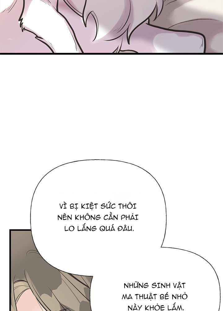 chị tôi đã nhặt về một nam chính quyến rũ chapter 54 2