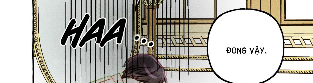 nuôi dưỡng một bé rồng đen chapter 38.2 37