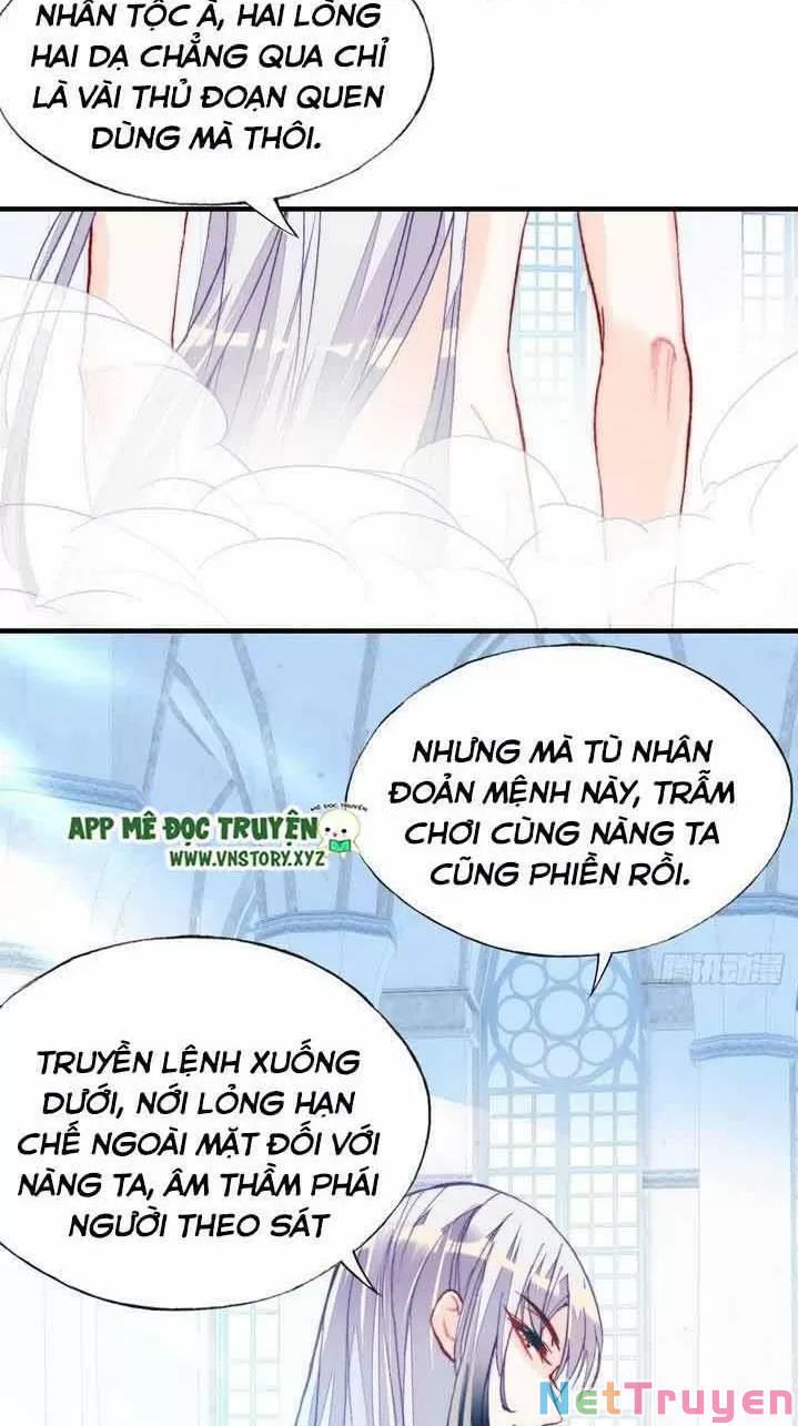 lại bị bệnh chiều chuộng quấn lấy chapter 6 59