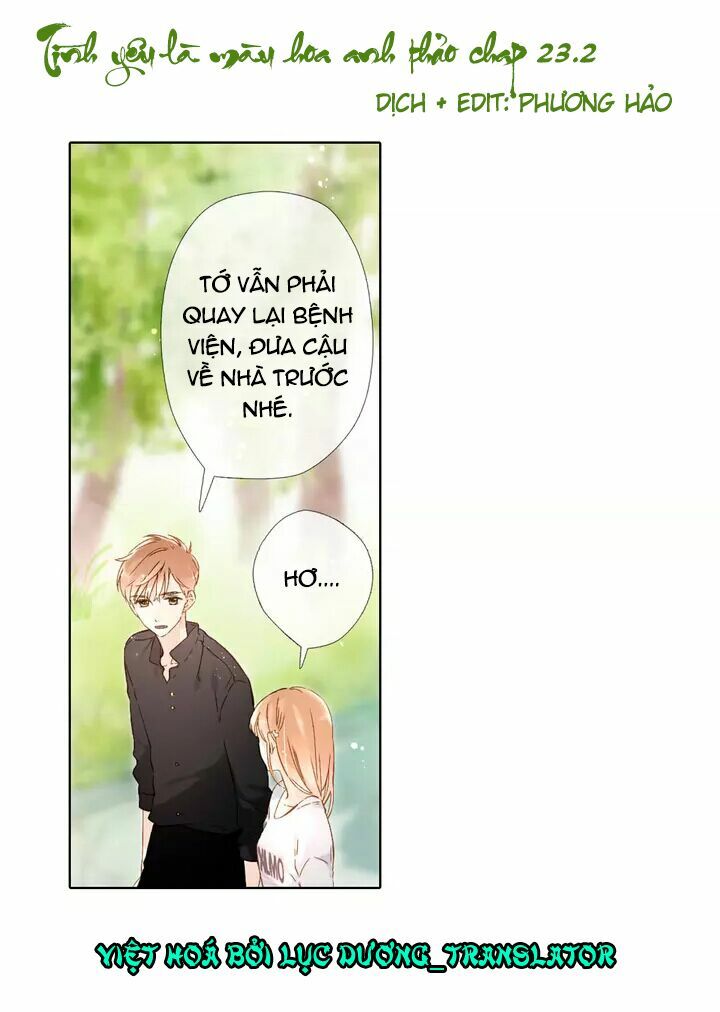 Tình yêu là màu hoa anh thảo chapter 23.2 1