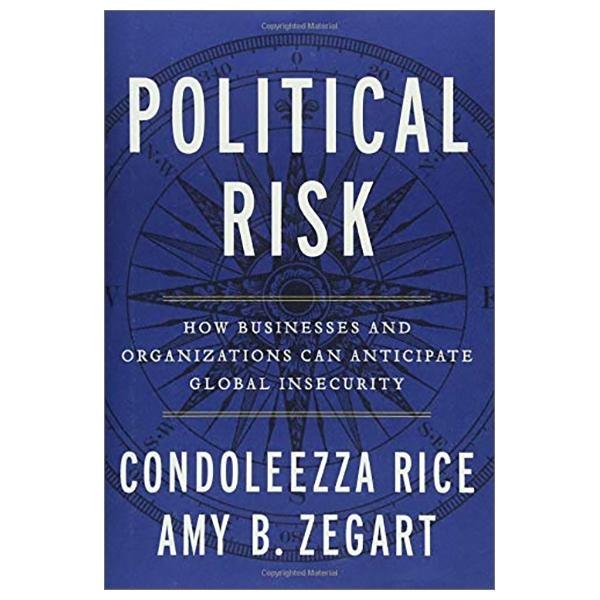 Political Risk: How Businesses and Organizations Can Anticipate Global Insecurity