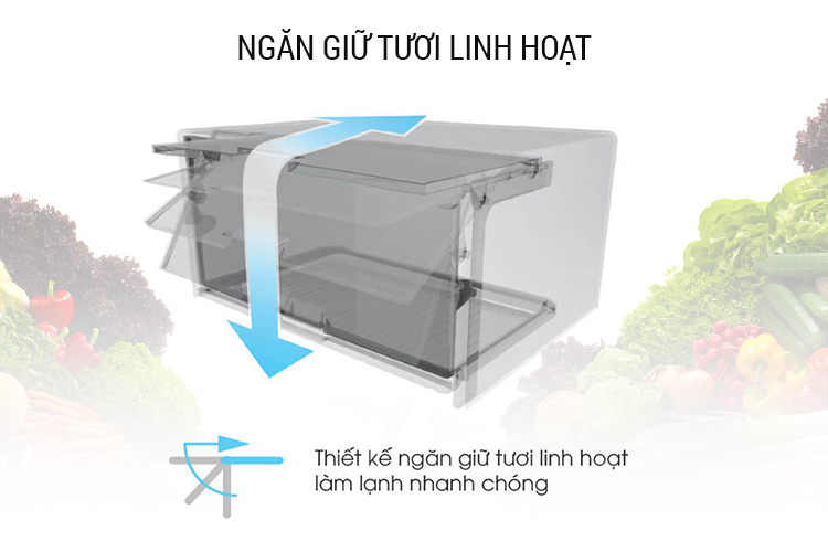 Tủ lạnh Sharp Inverter 315 lít SJ-X346E-DS