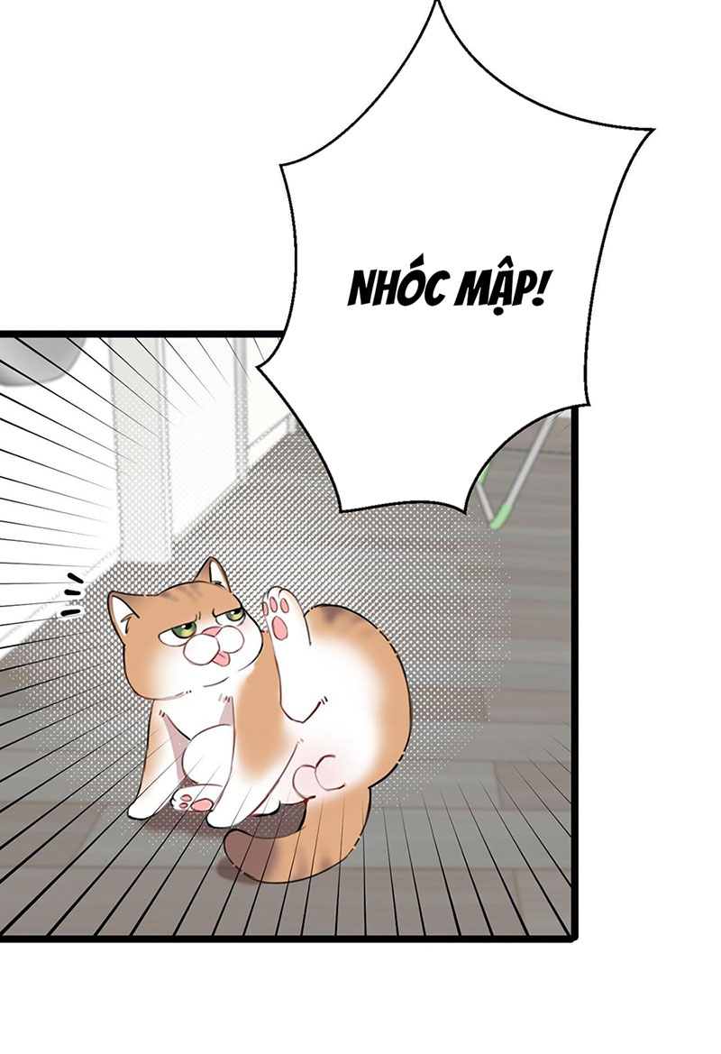 rốt cuộc bé mèo đang nghĩ gì ? chapter 14 19