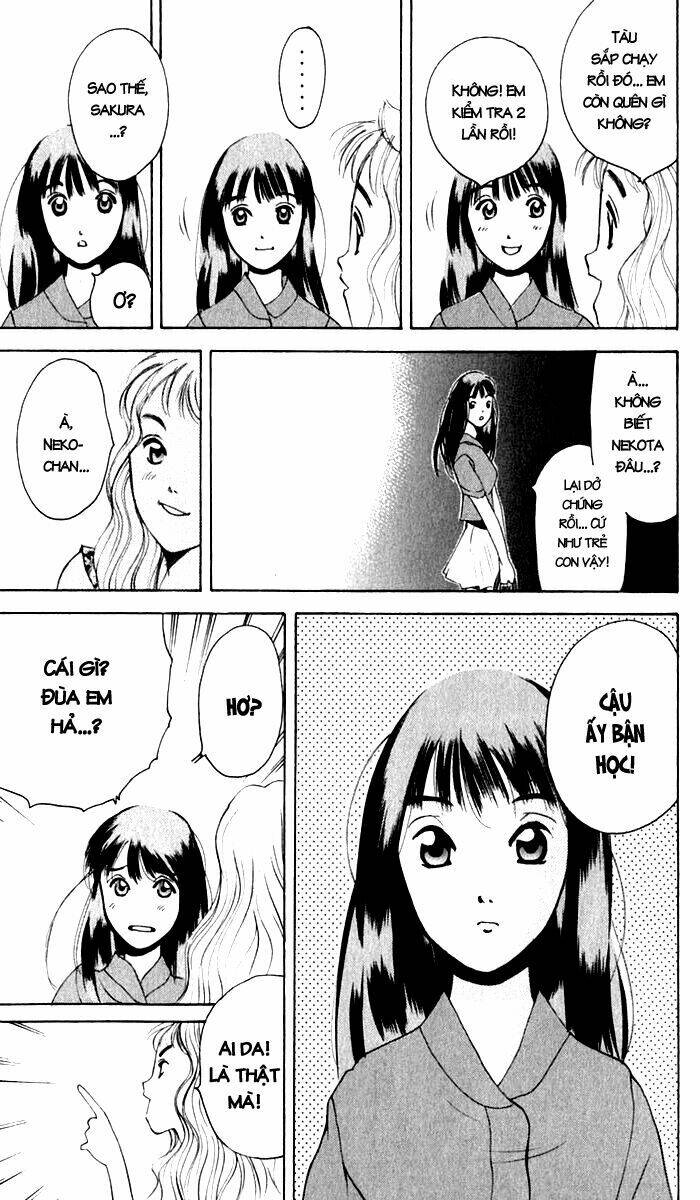 parallel chapter 11 28