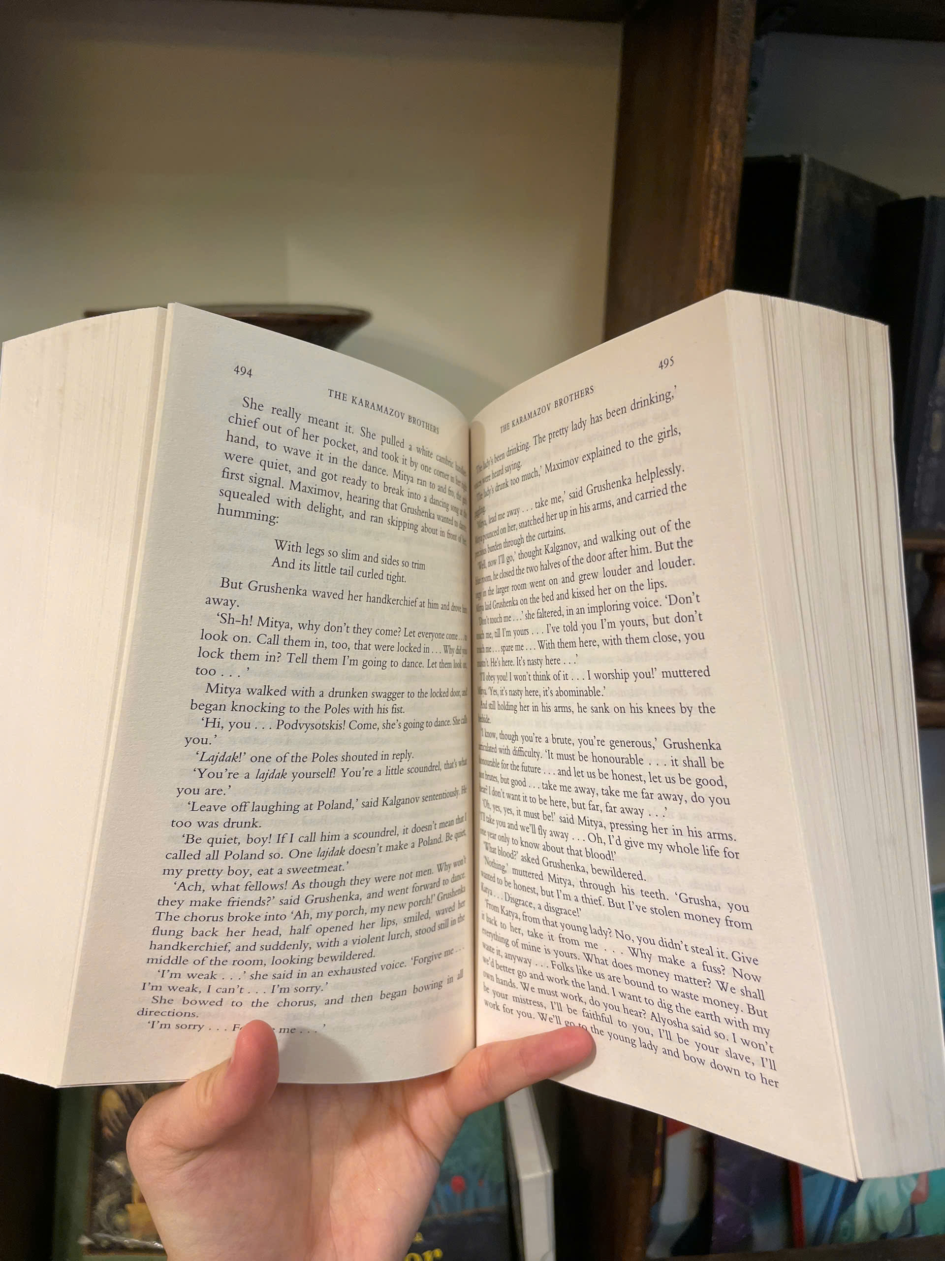 Sách - The Karamazov Brothers by Fyodor Dostoevsky - Wordsworth Classics - English Book