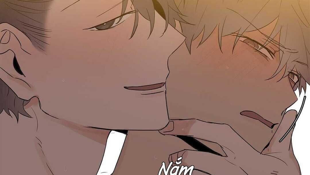 guide cấp b chapter 41 172