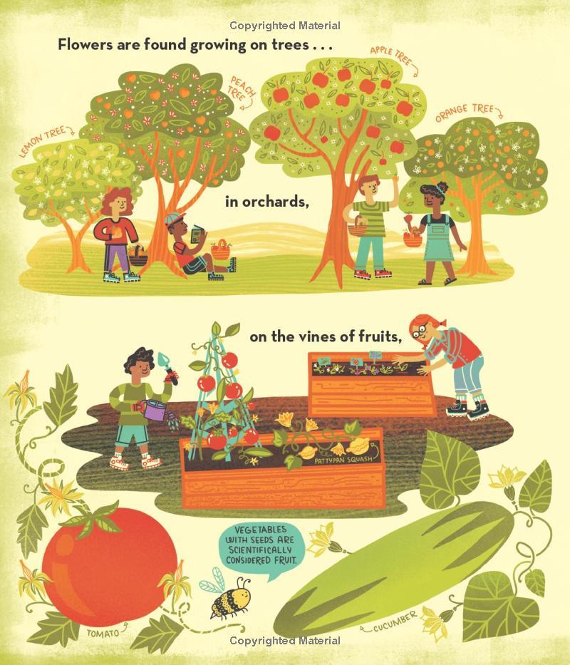 Sách ngoại văn: What's Inside A Flower?