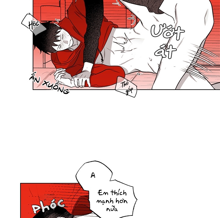 bữa tiệc của những đóa hoa chapter 20 48