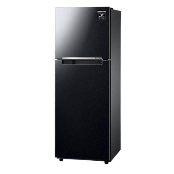 Tủ Lạnh Samsung Ngăn Đông Trên với Digital Inverter 243L màu Đen RT22M4032BU/SV - Hàng chính hãng