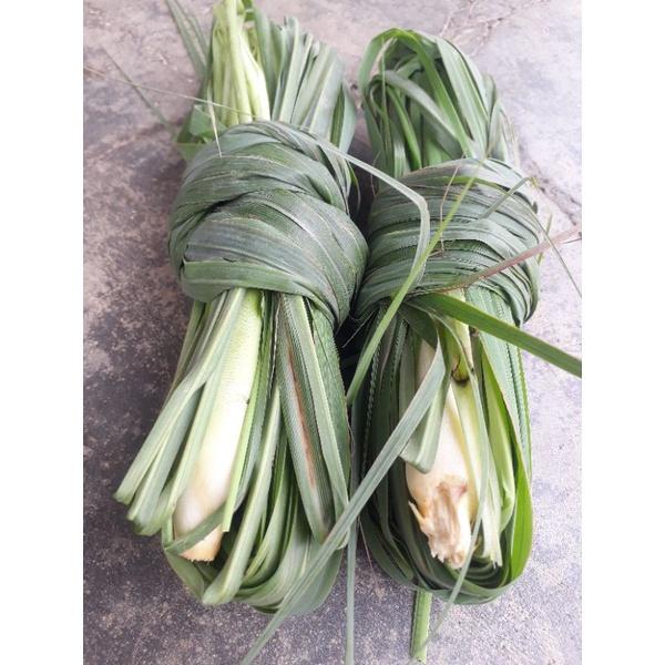 1kg sả tươi sạch  bao gồm cả củ, thân và lá - cây nhà trồng