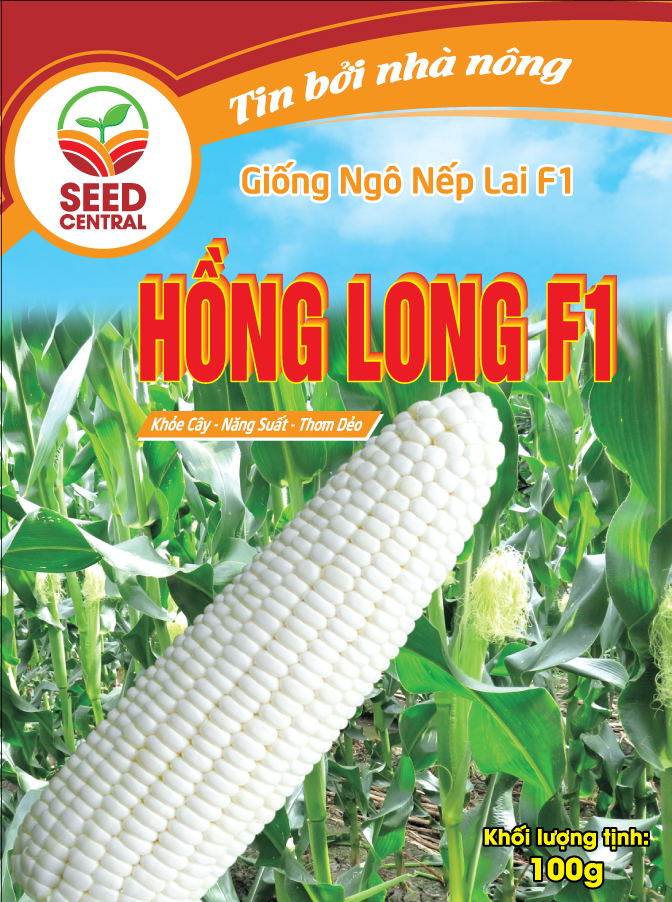 Hạt Giống Ngô Nếp Lai Hồng Long F1 100g - Bắp nếp trắng siêu dẻo, siêu ngọt - Shop Nông Nghiệp Nam An