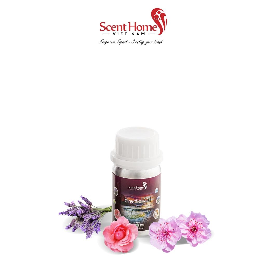 Tinh dầu Scent Homes - mùi hương