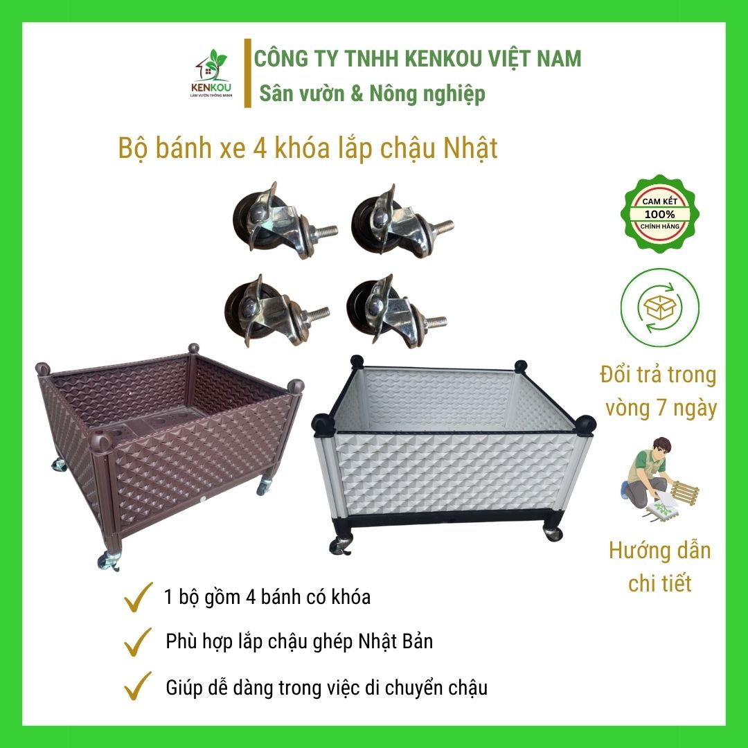 Bộ 4 bánh xe có khóa lắp đế chậu trồng cây - càng thép mạ kẽm chống rỉ, bánh cao su đặc