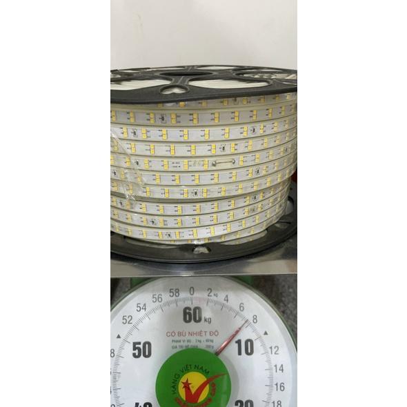 Led cuộn 2835 trắng/vàng/dương/lá/hồng/đỏ điện 220V cuộn 100M sử dụng ngoài trời, trang trí quán cà phê