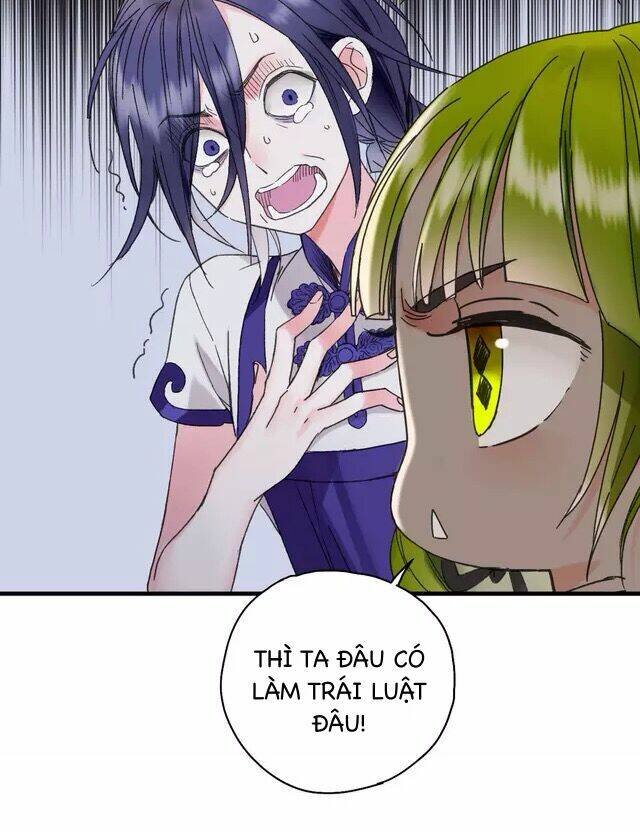 thực nhị chapter 23.1 24