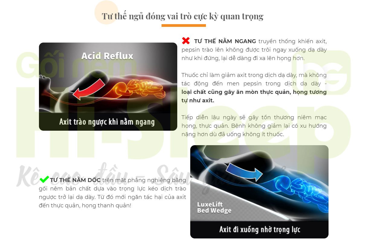 Gối Chống Trào Ngược Dạ Dày ( tặng kèm thêm áo gối).Hỗ trợ Đau Tức Ngực, Ợ Chua, Vướng Nghẹn Cổ Họng - Các Vấn Đề Về Hô Hấp