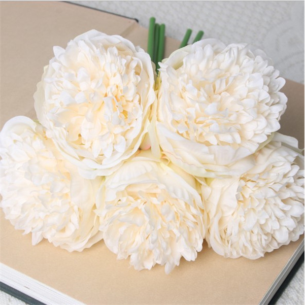 Hoa mẫu đơn 5 bông màu kem 1021K FLOWER