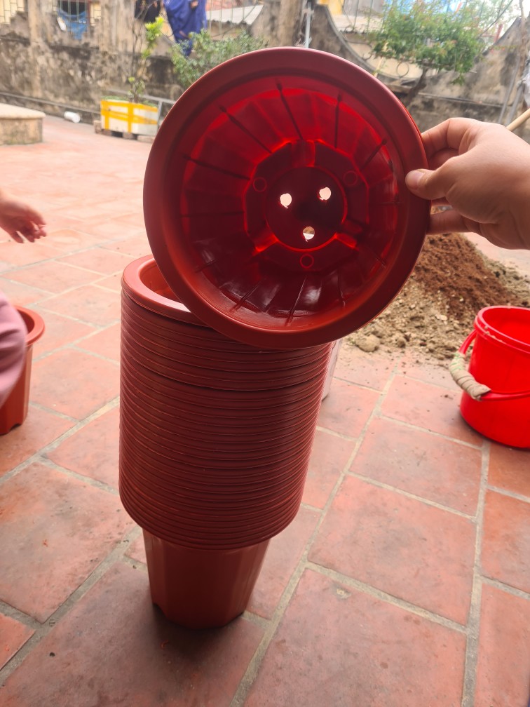 20 Chậu Nhựa Trồng Cây E280 KT 23x20cm