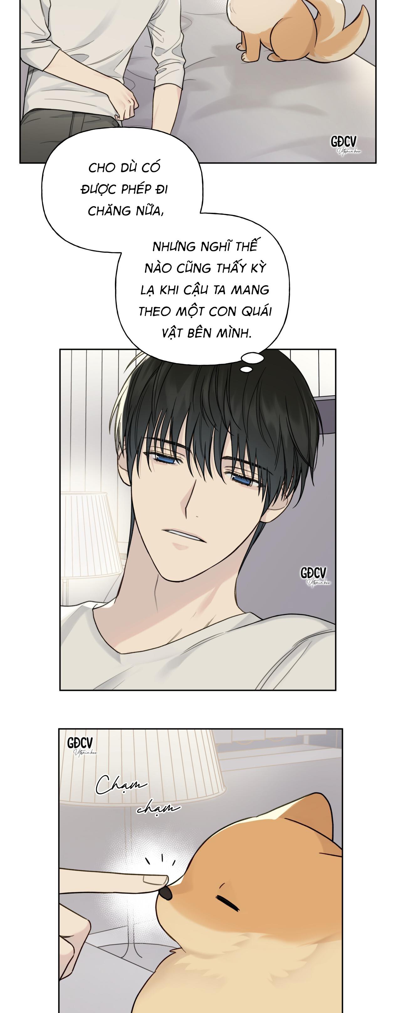 hiểm họa guiding chapter 8 17