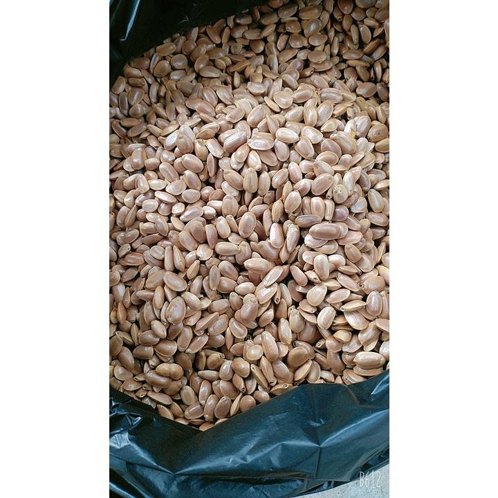 Hạt Bình Bát (Na Xiêm Khô 500G 981s