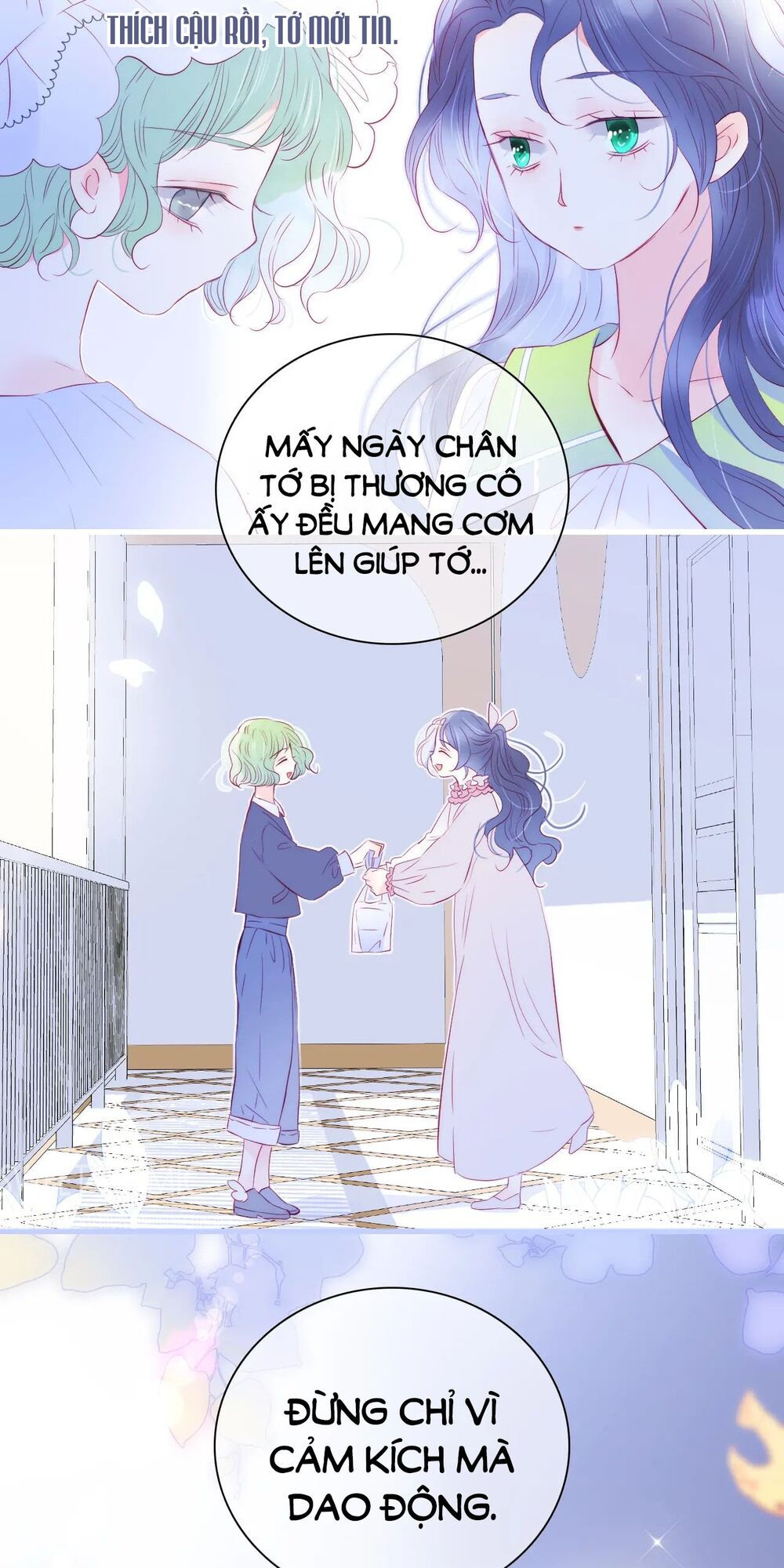 chạy trốn cùng con nhím chapter 33 36