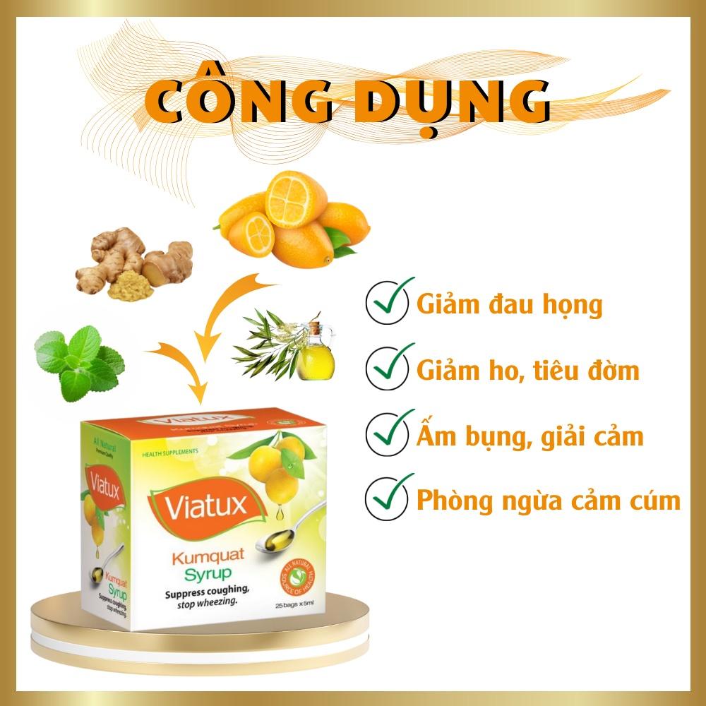 Siro Viatux tắc Vietnat giảm ho tiêu đàm - 25 gói/ hộp