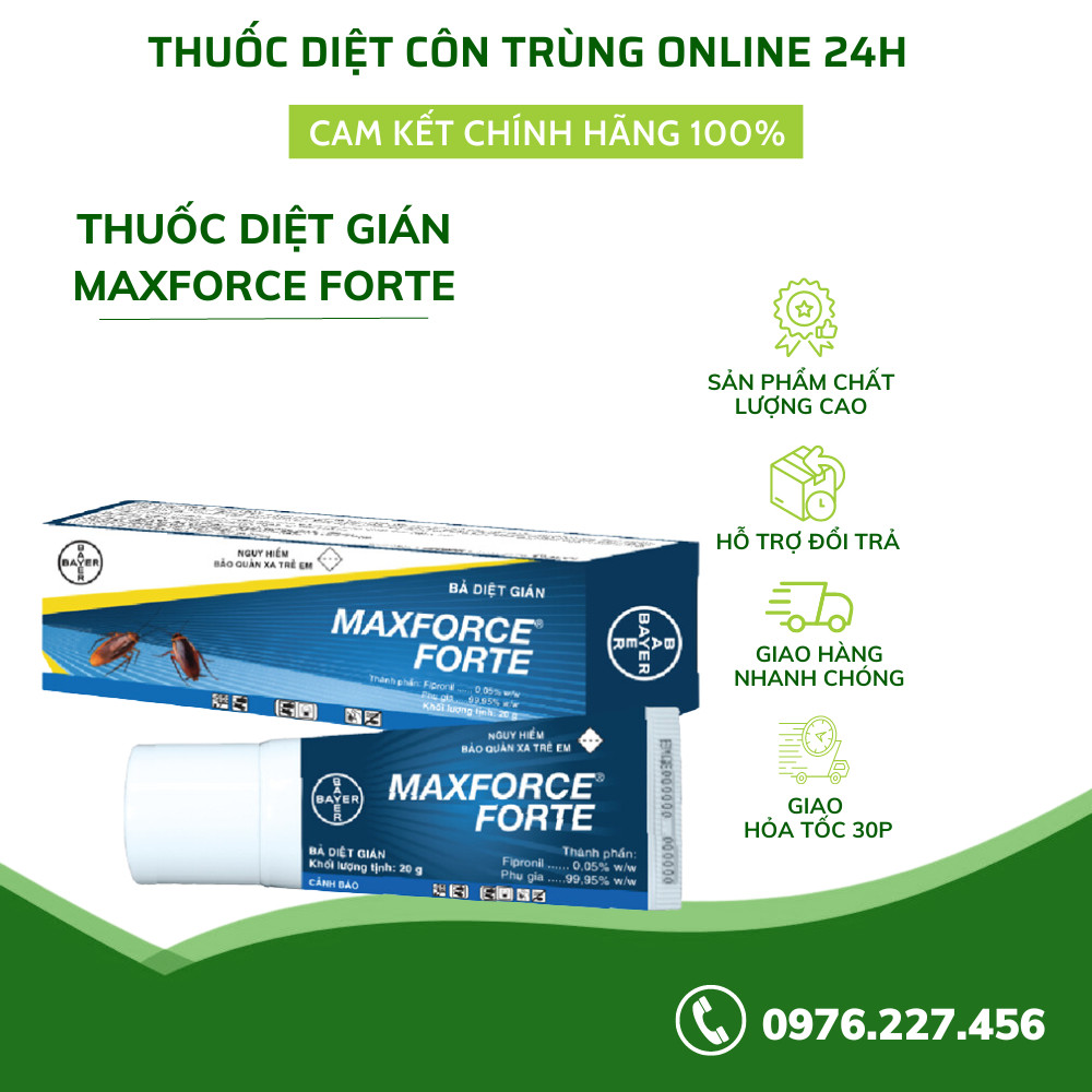 Thuốc Diệt Gián Maxforce Forte Bả Sinh Học Trừ Gián Tận Gốc Tuýp 20 Gram | Dietcontrung.online24h