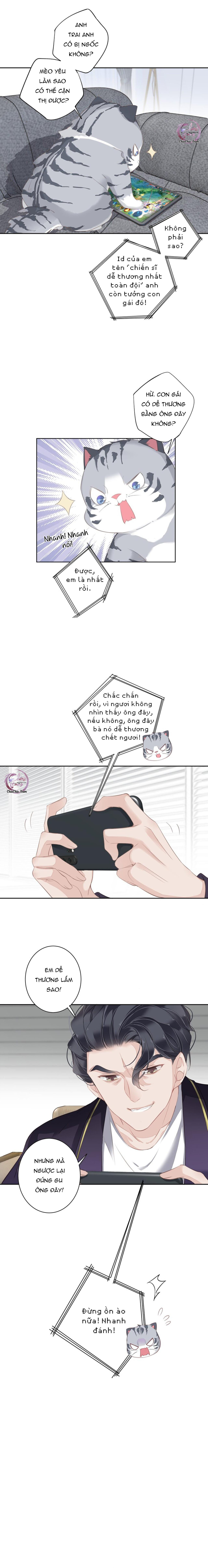 cuộc mai mối vượt giống loài chapter 37 9