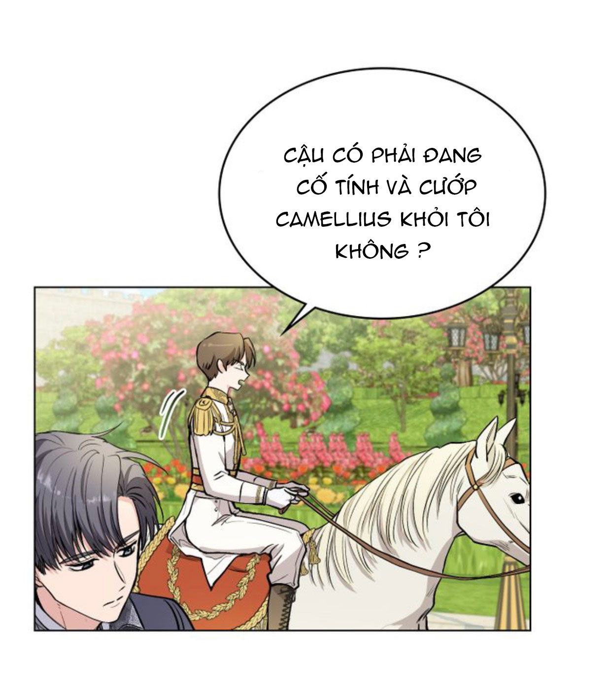 đi tìm nàng camellia chapter 12 29