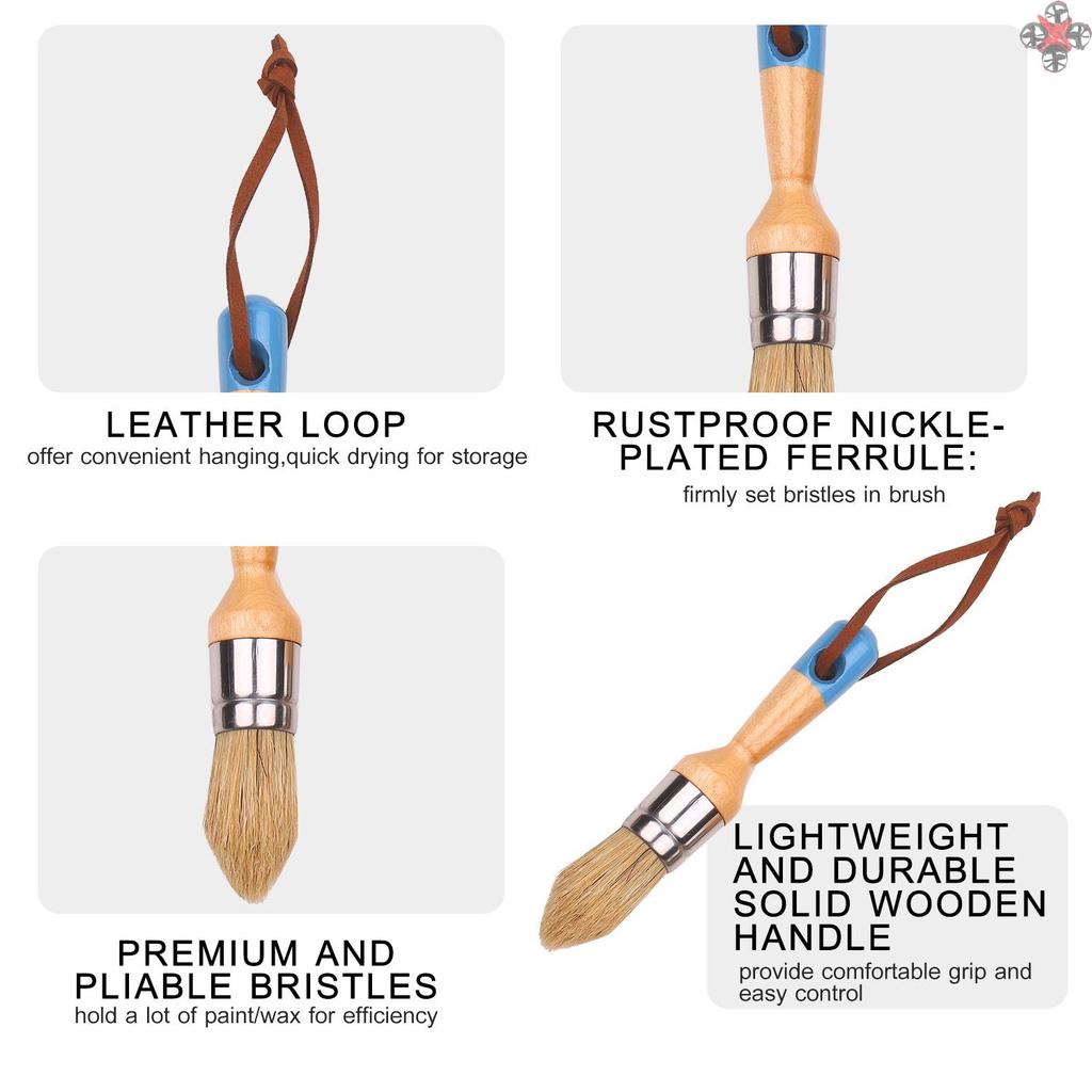 Set 5 Cọ Vệ Sinh Tường Chuyên Dụng
