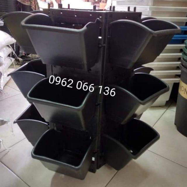 Combo 12 bộ ốp 3 cốc đen