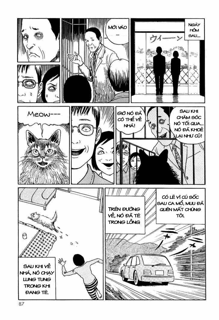 ito junji cat's diary chapter 8 9