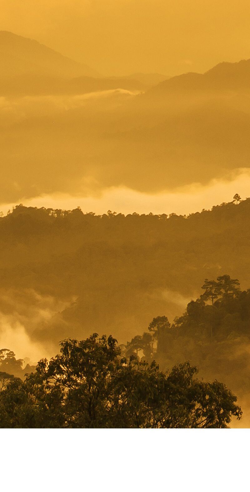 nửa đêm ở poppy land chapter 58 89