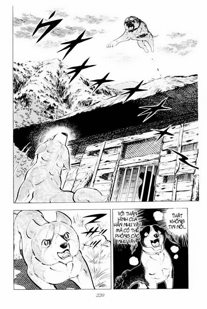 chú chó có nghĩa - ginga nagareboshi gin chapter 29.2 7