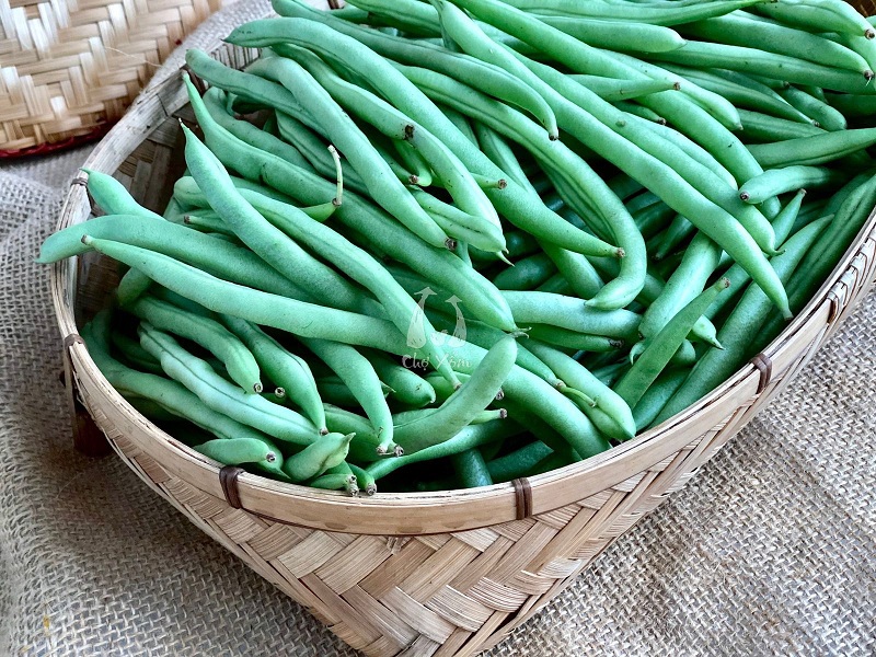 Hạt giống Đậu Ve Giàu Dinh Dưỡng, Dễ Chế Biến Thành Nhiều Món Ăn - Nông Sản Vàng