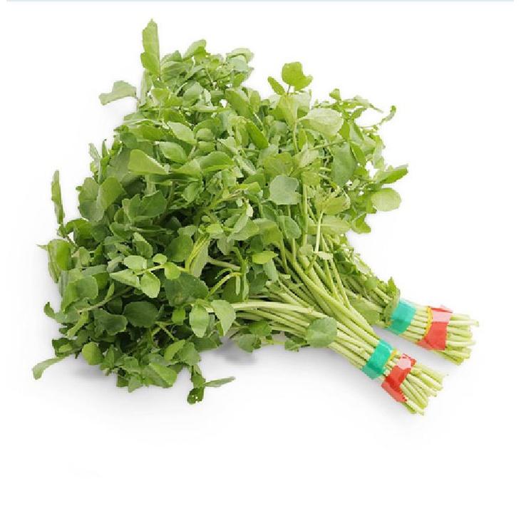 Hạt giống rau xà lách xoong Mỹ KNS3207 - Gói 1gram