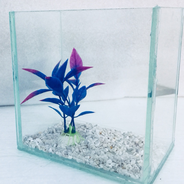 Bể cá mini để bàn 15x10x15cm - Tặng phụ kiện