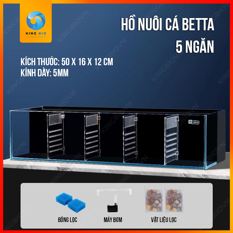  Bể cá Betta siêu trong Yee – Độ bền cao, kính siêu trong 8K, tặng kèm bơm và lọc